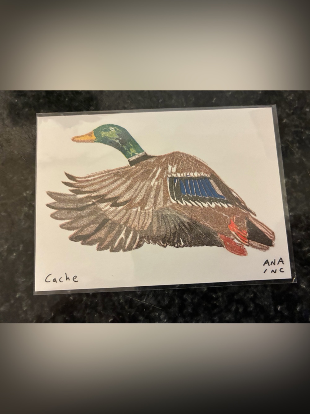 Ana Inc Anastasia Inciardi Mini Print - Duck - Cache - Vending Machine Rare Art
